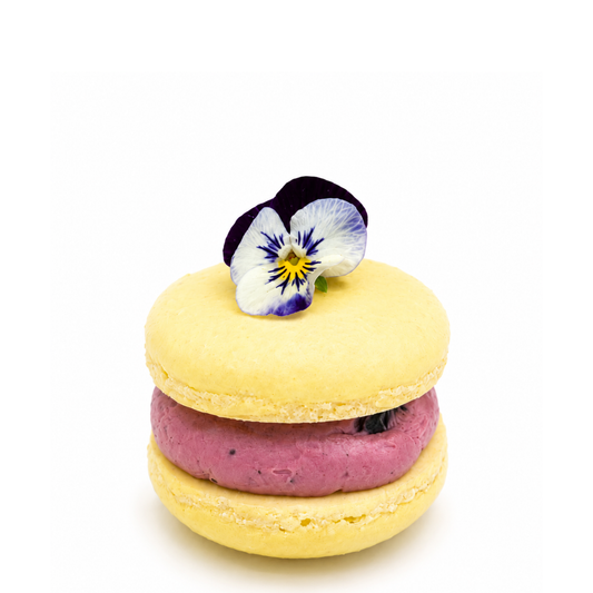 Blueberry Lemon Macaron